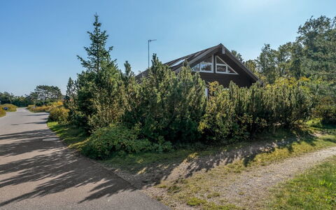 Herdina - 300M from the Sea: Sky, Tree, Branch, Vegetation, Shrub, Land Lot, Driveway, Trail