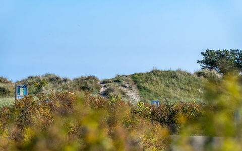 Herdina - 300M from the Sea: Sky, Blue, Grass, Green, Vegetation, Ecoregion, Grassland, Plant Community, Shrub