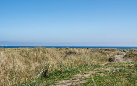 Herdina - 300M from the Sea: Blue, Grass, Horizon, Grassland, Ecoregion, Summer, Sea, Plant Community, Shrubland, Plain