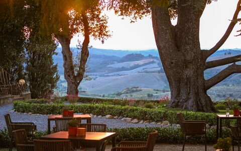 La Veduta – Scenic Views, Historic Castelfalfi: Furniture, Garden, Outdoor Table, Outdoor Furniture, Landscaping, Shade, Eco Hotel, Plantation, Evening
