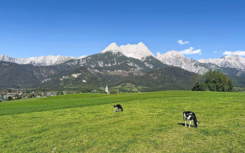 Thorermartlgut Incl. Gästekarte: Architecture, Slope, Cottage, Mountain Range, Log Cabin, Siding, Lumber, Alps, Eco Hotel, Mountain Village