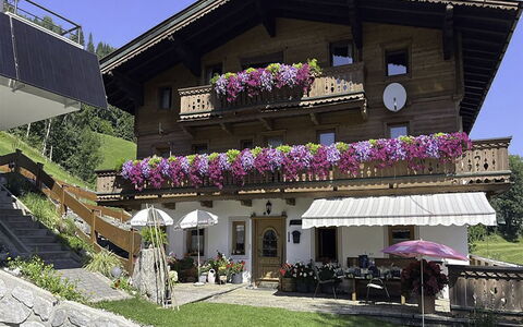 Manharthof: Architecture, Slope, Cottage, Mountain Range, Log Cabin, Siding, Lumber, Alps, Eco Hotel, Mountain Village