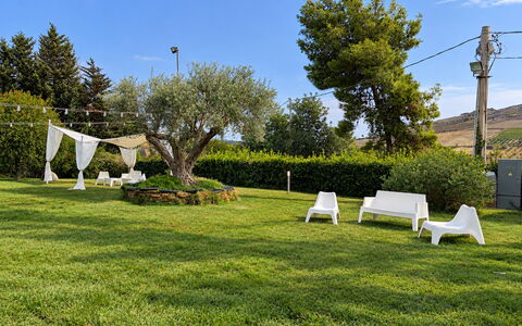 Casa Boungalow: Grass, Tree, Green, Landscape, Garden, Lawn, Land Lot, Groundcover