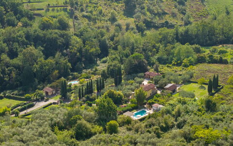Al Melo: Tree, Vegetation, Landscape, Rural Area, House, Shrub, Residential Area, Plant Community, Roof, Land Lot
