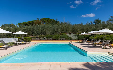 La Certaldina Luna Apartment: Swimming Pool, Resort, Garden, Outdoor Furniture, Landscaping, Eco Hotel, Sunlounger, Resort Town