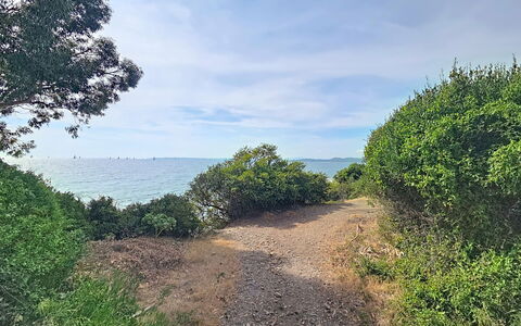Cap Emeraude: Blue, Leaf, Vegetation, Natural Landscape, Plant Community, Coastal And Oceanic Landforms, Trail, Sea, Coast