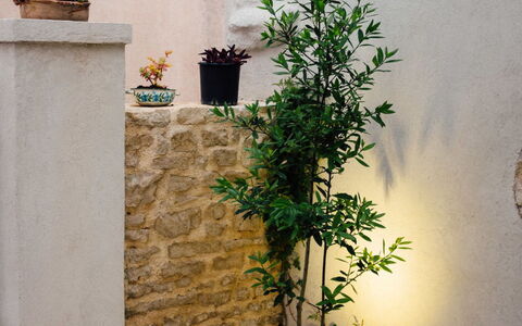Marijana: Flowerpot, Concrete, Houseplant, Garden, Flagstone, Herb, Courtyard