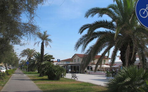 Casa Corallina: Tree, Public Space, Shade, Sidewalk, Walkway, Driveway