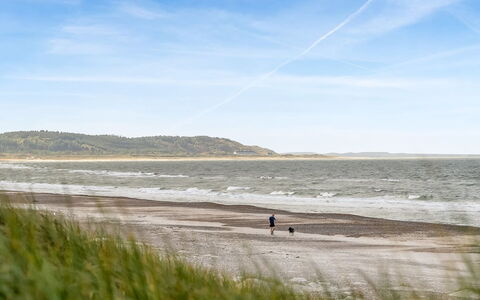 Alena - 50M from the Sea: Natural Environment, Beach, Coast, Horizon, Ecoregion, Sea, Coastal And Oceanic Landforms, Shore, Ocean, Sand