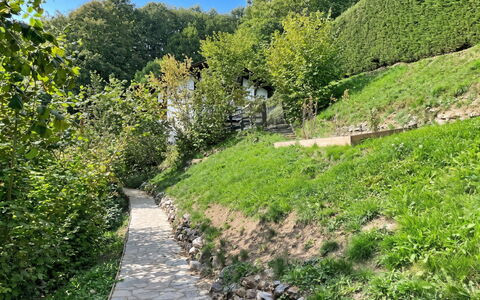 Chalet Scarbo: Green, Leaf, Vegetation, Natural Landscape, Shrub, Garden, Plant Community, Groundcover, Trail