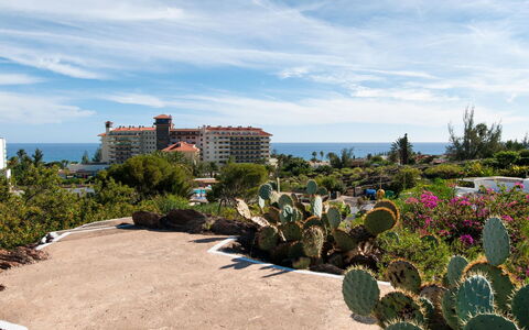 Red Rocks: Garden, Landscaping, Vacation, Walkway, Tropics, Botanical Garden