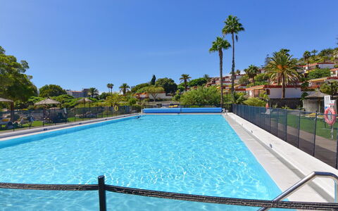 Red Rocks: Tree, Swimming Pool, Resort, Leisure, Recreation, Shade, Vacation, Eco Hotel, Hotel