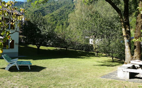 Ca' Angiulin: Lawn, Garden, Shade, Park, Yard, Backyard, Evergreen