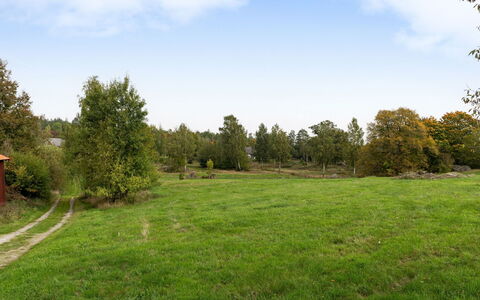 Guttamåla: Sky, Grass, Tree, Natural Environment, Green, Leaf, Grassland, Natural Landscape, Vegetation, Plain