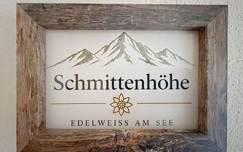 Accommodation:&nbsp;Schmittenhöhe am See 81.6