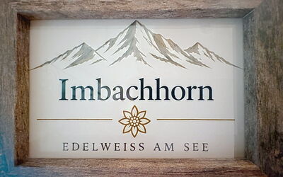 Accommodation:&nbsp;Imbachhorn am See 81.5