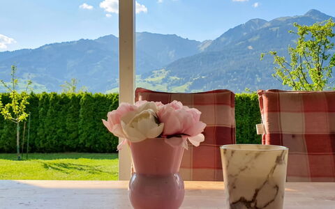 Reiter: Flowerpot, Pink, Mountain Range, Chair, Houseplant, Garden, Cut Flowers, Vase, Shade