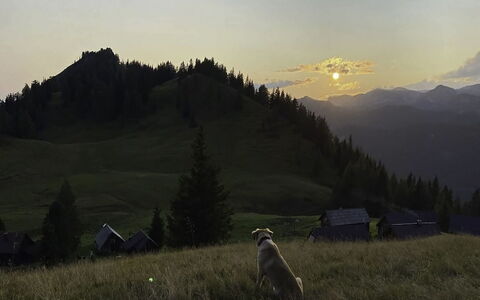 Schneehitzalmhütte: Furniture, Interior Design, Flooring, Ceiling, Floor, Chair, Room, Lighting, Table, Kitchen & Dining Room Table