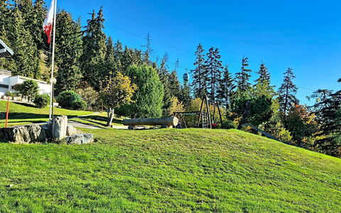 Crans-Montana 480: Grass, Green, Grassland, Landscape, Land Lot, Meadow, Lawn, Pasture, Larch