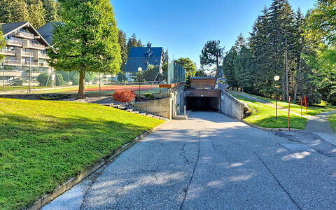 Crans-Montana 480: Tree, Shade, Larch, Landscaping, Walkway, Evergreen, Driveway, Pine Family