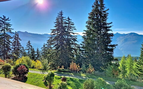 Crans-Montana 480: Sky, Mountainous Landforms, Tree, Mountain, Nature, Hill, Wilderness, Highland, Landscape, Mountain Range