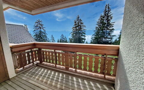 Accommodation:&nbsp;Le Chamois D'Or A303 480.2