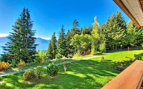 Crans-Montana 480: Tree, Landscape, Hill, Hill Station, Mountain Range, Larch, Forest, Valley, Slope, Ridge