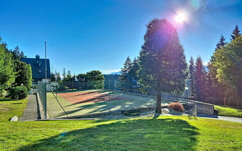 Crans-Montana 480: Blue, Sky, Tree, Larch, Slope, Lawn, Landscaping, Evergreen, Park