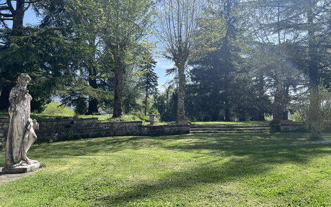 Villa Il Parco: Tree, Grass, Leaf, Nature, Branch, Shrub, Garden, Trunk, Lawn, Groundcover