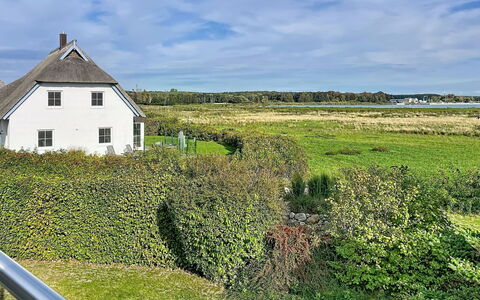 Moderne Zeiten: Green, Grass, Vegetation, House, Grassland, Roof, Landscape, Rural Area, Cottage