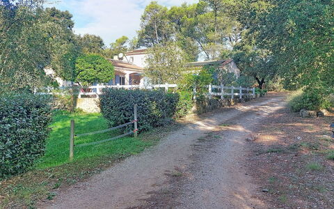Moun Pantai: Tree, Shrub, Estate, Cottage, Soil, Suburb, Shade, Trail, Hacienda, Driveway