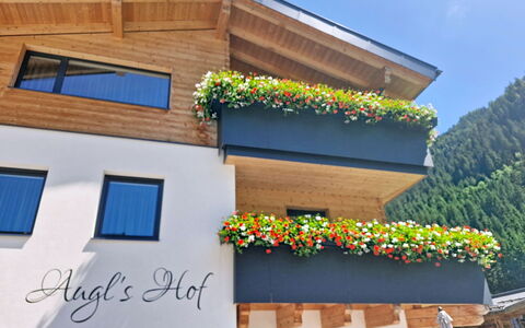 Augl'S Hof: Balcony, Houseplant, Hotel, Awning