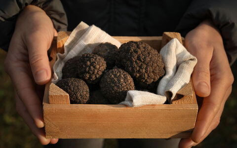Pod Meloni: Ingredient, Food, Dessert, Superfood