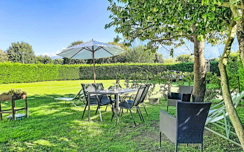 Carla: Grass, Green, Shrub, Furniture, Garden, Land Lot, Lawn, Outdoor Furniture, Groundcover, Shade