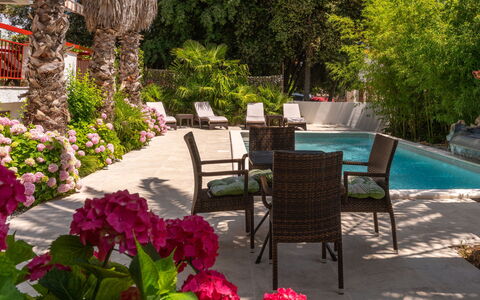 Botanica: Apartment, Resort, Swimming Pool, Condominium, Balcony, Hotel, Eco Hotel, Villa, Houseplant