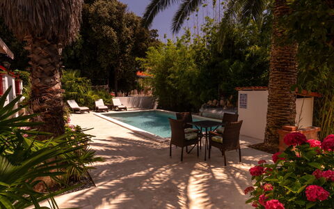 Botanica: Apartment, Resort, Swimming Pool, Condominium, Balcony, Hotel, Eco Hotel, Villa, Houseplant