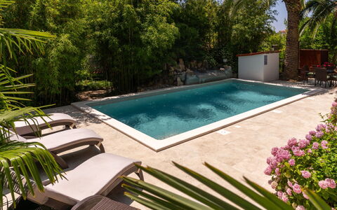 Botanica: Apartment, Resort, Swimming Pool, Condominium, Balcony, Hotel, Eco Hotel, Villa, Houseplant