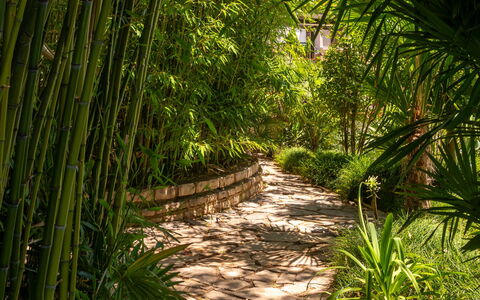 Botanica: Apartment, Resort, Swimming Pool, Condominium, Balcony, Hotel, Eco Hotel, Villa, Houseplant