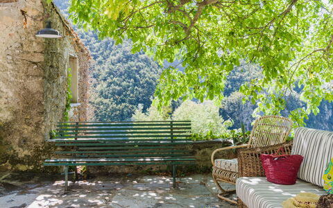 Casa Il Noce: Apartment, Resort, Swimming Pool, Condominium, Balcony, Hotel, Eco Hotel, Villa, Houseplant