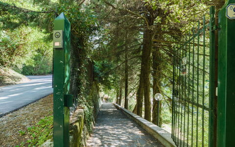 Casa Il Noce: Apartment, Resort, Swimming Pool, Condominium, Balcony, Hotel, Eco Hotel, Villa, Houseplant