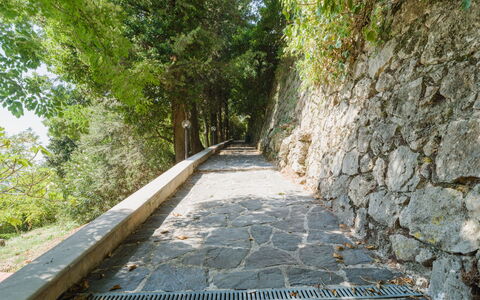 Casa Il Noce: Apartment, Resort, Swimming Pool, Condominium, Balcony, Hotel, Eco Hotel, Villa, Houseplant