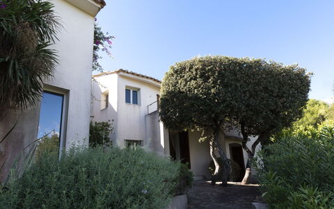 Cala Rossa: Wall, Residential Area, Shrub, House, Architecture, Home, Roof, Estate, Garden, Hacienda