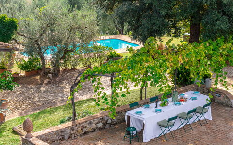 Podere Selva, Pool, Chianti: Shrub, Garden, Swimming Pool, Shade, Backyard, Outdoor Furniture, Landscaping, Yard, Resort, Flowerpot