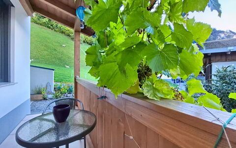 Oberladstätter: Shade, Wood Stain, Hardwood, Eco Hotel, Balcony, Houseplant
