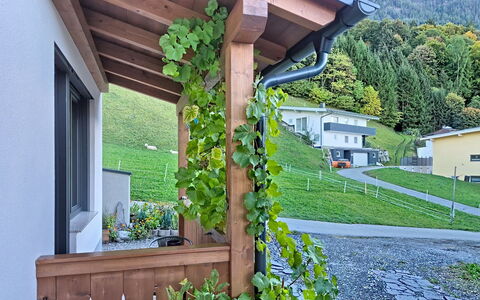 Oberladstätter: Shade, Wood Stain, Hardwood, Outdoor Structure, Houseplant, Flowerpot, Pergola, Balcony, Eco Hotel