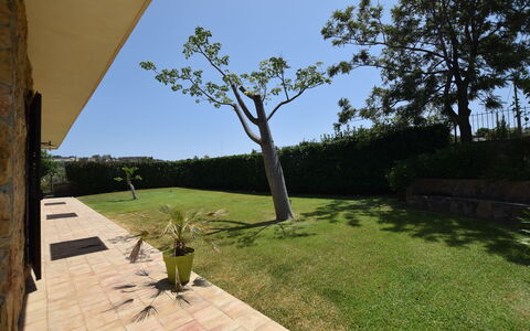 Zuccheri Canditi: Garden, Land Lot, Lawn, Shade, Landscaping, Backyard, Yard, Flagstone, Walkway