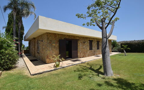 Zuccheri Canditi: Home, Residential Area, Garden, Shade, Estate, Landscaping, Hacienda, Backyard, Yard, Lawn