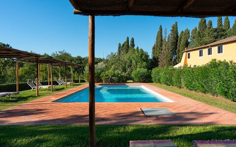 Villa Poggio Bellavista 8: Swimming Pool, Shade, Hacienda, Garden, Eco Hotel, Estate, Farmhouse, Landscaping, Backyard, Resort