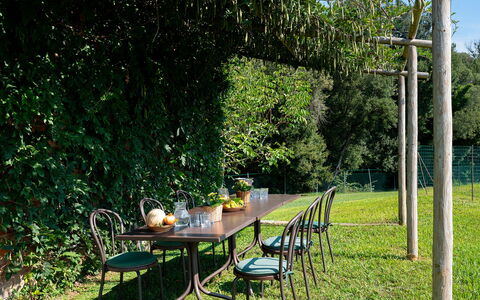 Villa del Poggio D'Oro 8: Furniture, Outdoor Furniture, Table, Outdoor Table, Garden, Shade, Groundcover, Chair, Lawn, Backyard