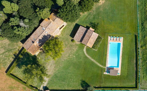 Villa del Poggio D'Oro 8: Swimming Pool, House, Land Lot, Home, Lawn, Estate, Farmhouse, Cottage, Meadow, Backyard